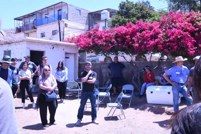 DSC_1047 (Large).JPG